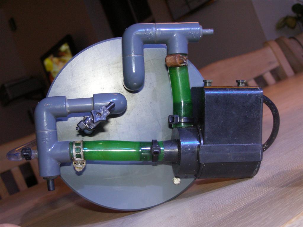 PB110006 (Large).JPG