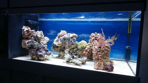 9.JPG (38.01 KiB) Vist 3215 gange FTS