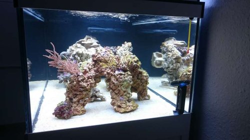 10.JPG (38.05 KiB) Vist 2658 gange Set fra siden