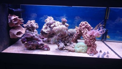 16.JPG (41.85 KiB) Vist 3215 gange FTS