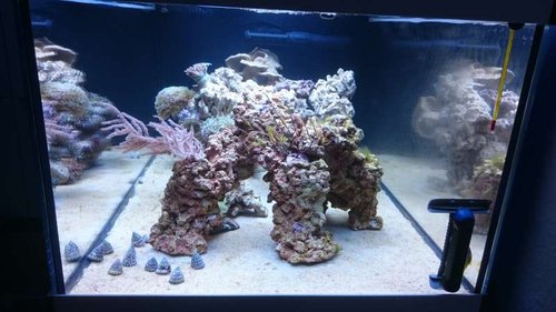 17.JPG (45.38 KiB) Vist 2658 gange Set fra siden