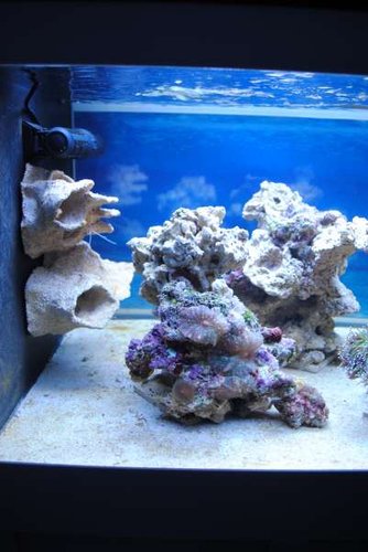 9.JPG (30.53 KiB) Vist 2658 gange Venstre side