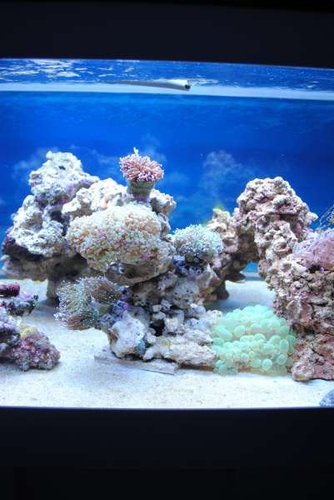 10.JPG (31.06 KiB) Vist 3215 gange Midten