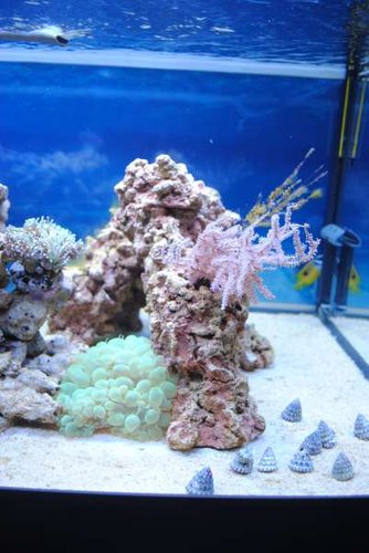 11.JPG (32.66 KiB) Vist 2658 gange Højre side