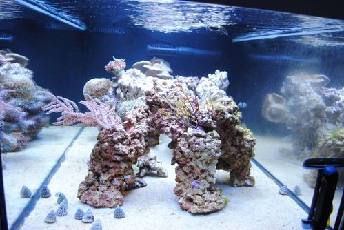 12.JPG (63.58 KiB) Vist 2658 gange Set fra siden