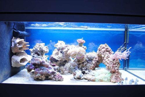 19.JPG (51.64 KiB) Vist 3215 gange FTS