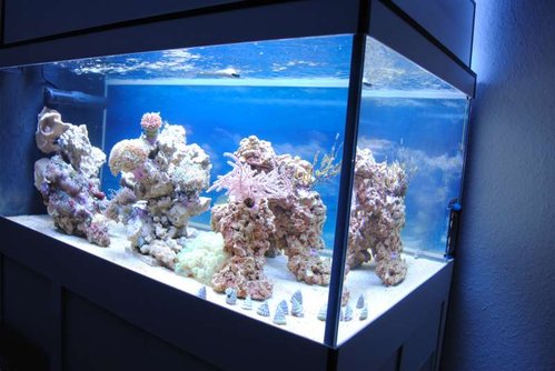 20.JPG (48.89 KiB) Vist 2658 gange FTS