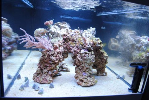 21.JPG (60.92 KiB) Vist 2658 gange Set fra siden