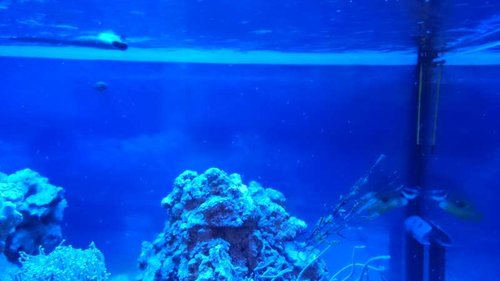 1.JPG (28 KiB) Vist 2658 gange Rejeunger