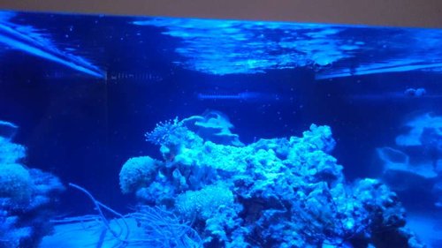 2.JPG (36.29 KiB) Vist 2658 gange Rejeunger