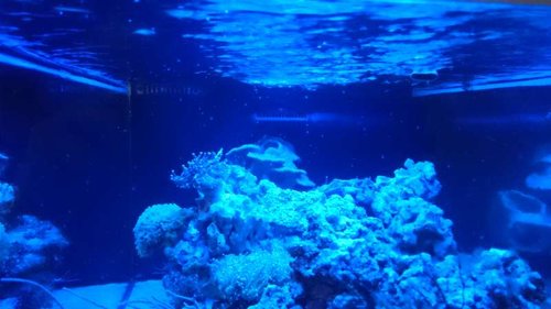 3.JPG (37.24 KiB) Vist 2658 gange Rejeunger