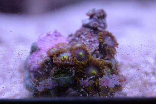 DSC_0164.JPG