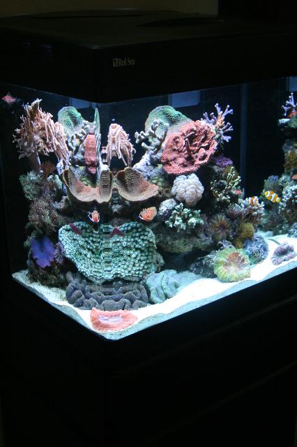 12-11-07 054.JPG