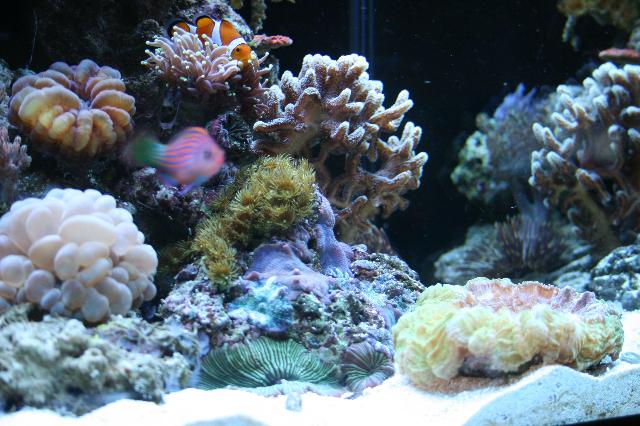 12-11-07 044.JPG