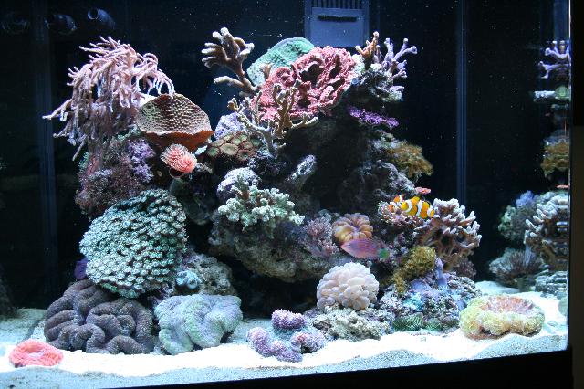 12-11-07 043.JPG