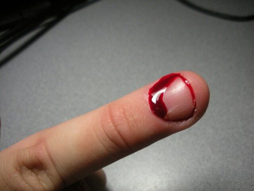 Whiteeyed's forsigtige bid.