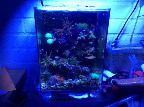 Fts