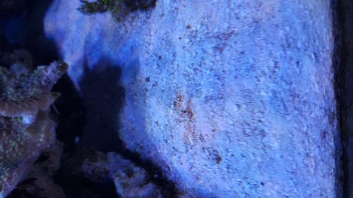 20160201_135214.jpg