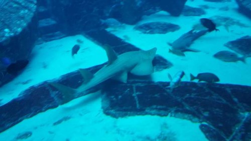 20160204_173009.jpg