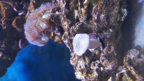 20160208_183141.jpg