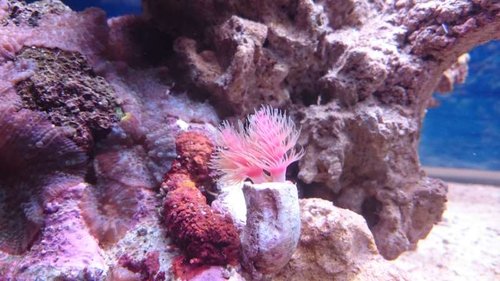 1.JPG (51.42 KiB) Vist 6041 gange 1