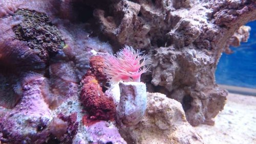 2.JPG (52.16 KiB) Vist 6045 gange 2