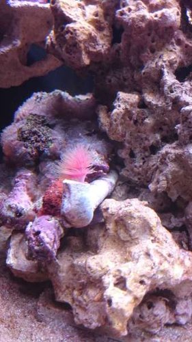 3.JPG (32.23 KiB) Vist 5849 gange 3