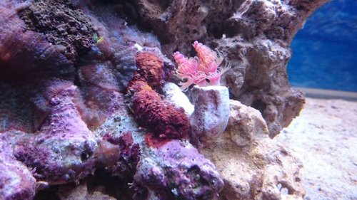 4.JPG (53.42 KiB) Vist 6041 gange 4