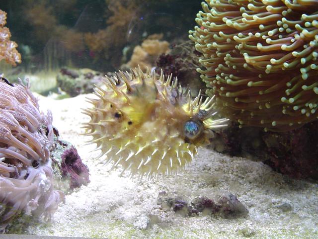 DSC01427 (Small).JPG