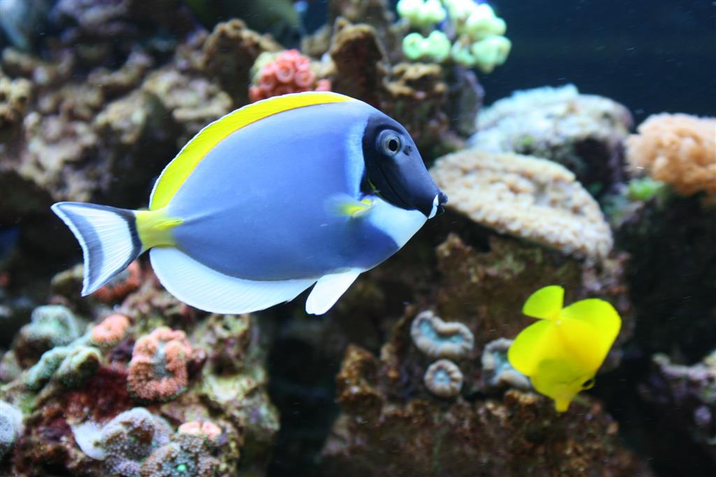 IMG_6868 (Large).JPG