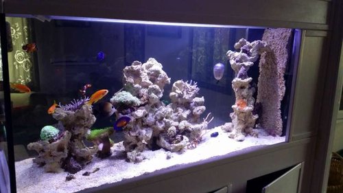 20160227_100915.jpg