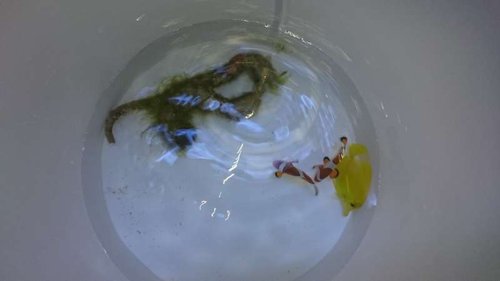 1.JPG (15.6 KiB) Vist 3772 gange Fisk og rørorm er lige lagt i spanden og klar til drypmetoden