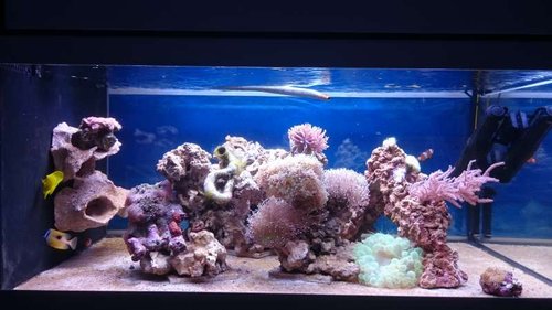 2.JPG (44.88 KiB) Vist 3772 gange FTS