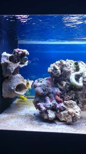 3.JPG (27.61 KiB) Vist 3772 gange Venstre side