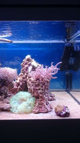 5.JPG (24.97 KiB) Vist 3772 gange Højre side