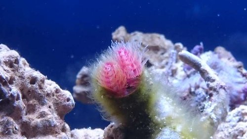 16.JPG (35.66 KiB) Vist 3433 gange Rørorm