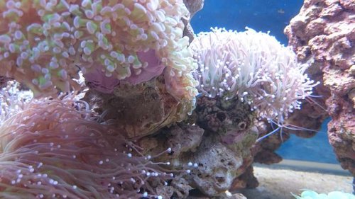 1.JPG (48.98 KiB) Vist 3772 gange 1