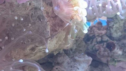 2.JPG (32.7 KiB) Vist 3433 gange 2