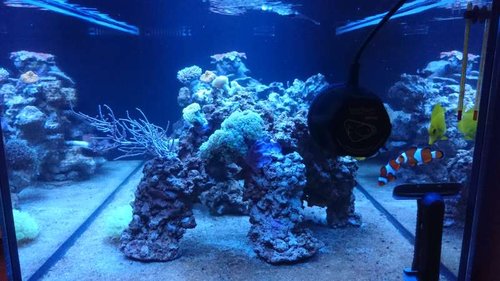 3.JPG (51.27 KiB) Vist 3433 gange 3