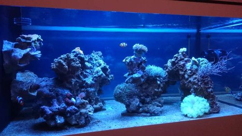 4.JPG (44.06 KiB) Vist 3772 gange 4