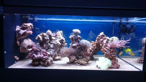 1.JPG (42.6 KiB) Vist 3772 gange FTS