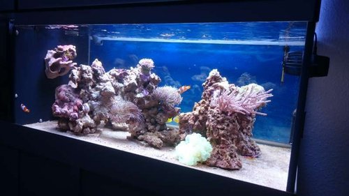 2.JPG (39.63 KiB) Vist 3723 gange FTS