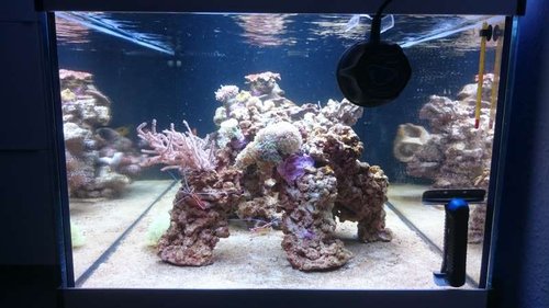 3.JPG (47.99 KiB) Vist 3723 gange Set fra siden