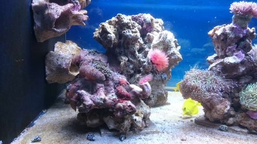 17.JPG (52.13 KiB) Vist 3772 gange Venstre side