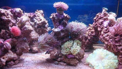 18.JPG (60.43 KiB) Vist 3772 gange Midten