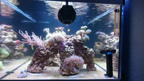 20.JPG (52.3 KiB) Vist 3723 gange Set fra siden