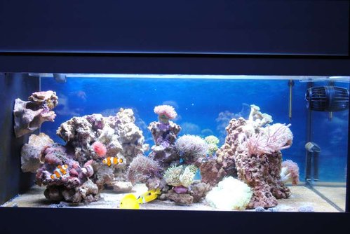 28.JPG (47.12 KiB) Vist 3772 gange FTS