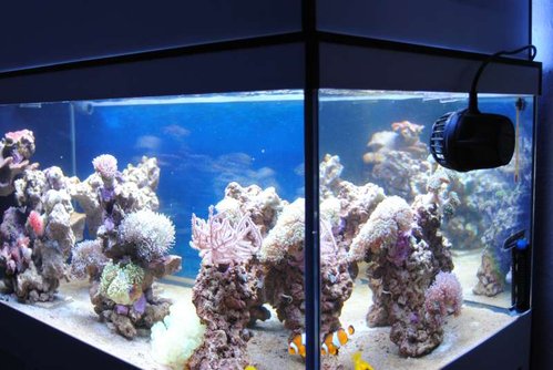 29.JPG (54.76 KiB) Vist 3772 gange FTS