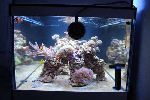 30.JPG (48.25 KiB) Vist 3772 gange Set fra siden