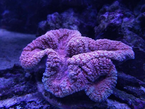 IMG_20160312_210753.jpg